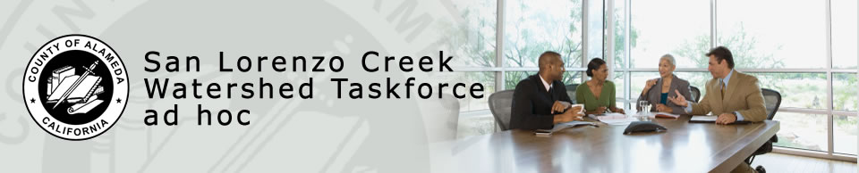 San Lorenzo Creek Watershed Taskforce ad hoc