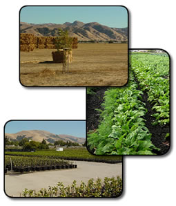 Photo shows a hay field, crop field, and a wholesale nursery all located in Alameda County.