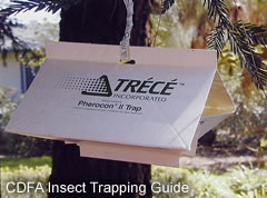 Photo shows a white-colored triangular-shaped trap.