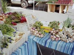 Photo of vegetables on a table in a farmer's market.