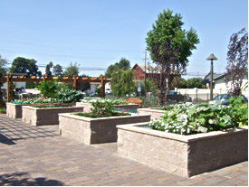 Photo showing a park next to the Townhouses