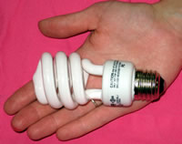 Photo of a compact fluorescent bulb.