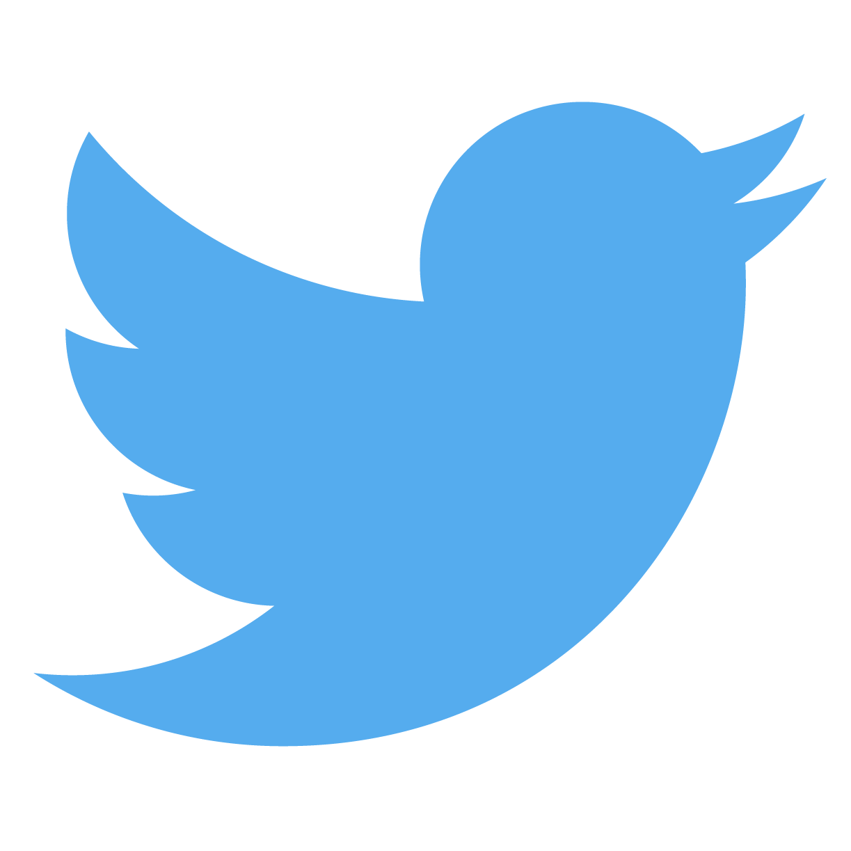 twitter logo