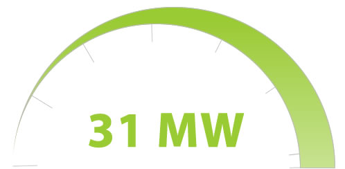 31 MW
