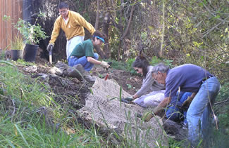 Photo of people restoring a creek.