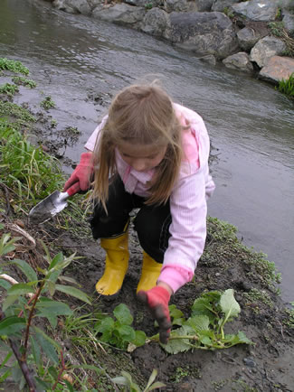 Photo of a child planting near a creek.