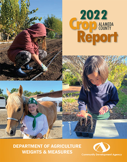 Crop Report