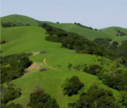 Image of Rolling Hills