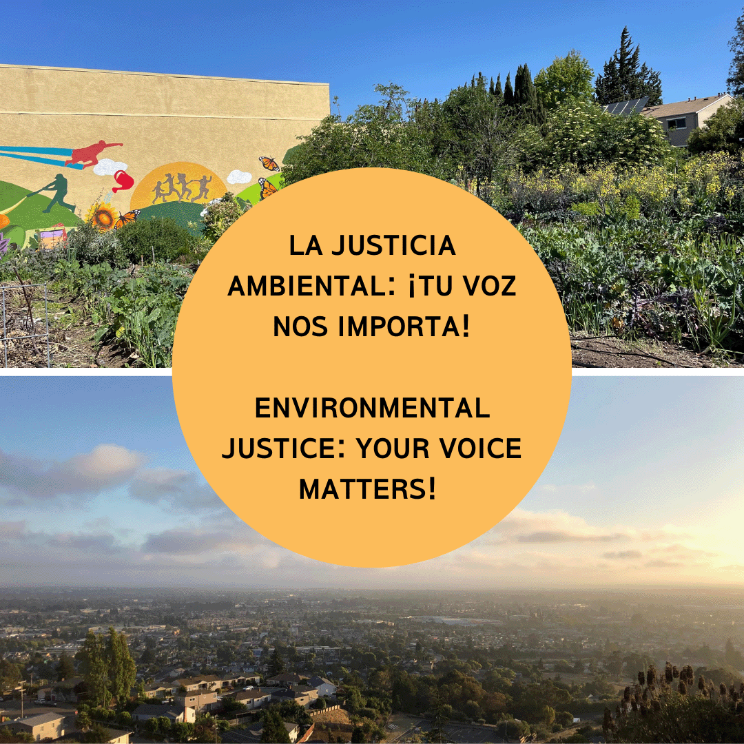 Environmental Justice Social Media Graphic Option 5