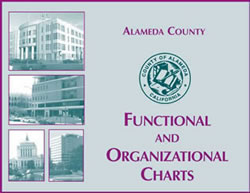 Dcfs Organizational Chart