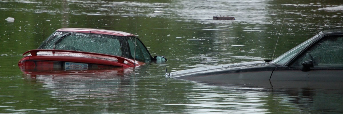 Photograph of flooded cars.