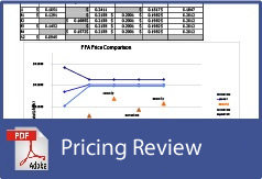 RREP Solar Project Pricing Review by Bundle