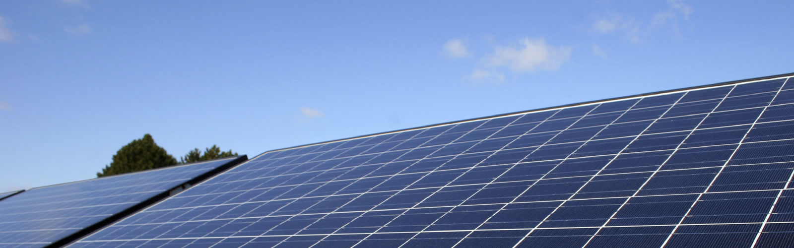 A construction worker posing in front of solar panels