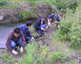 Photo of 4 people replanting a creek.