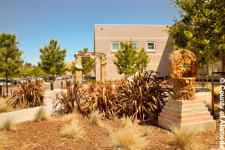 Photo of landscaping outside the Juvenile Justice Center.