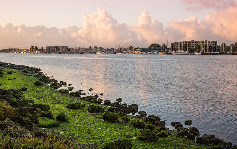 The bay shoreline between Oakland and the City of Alameda.